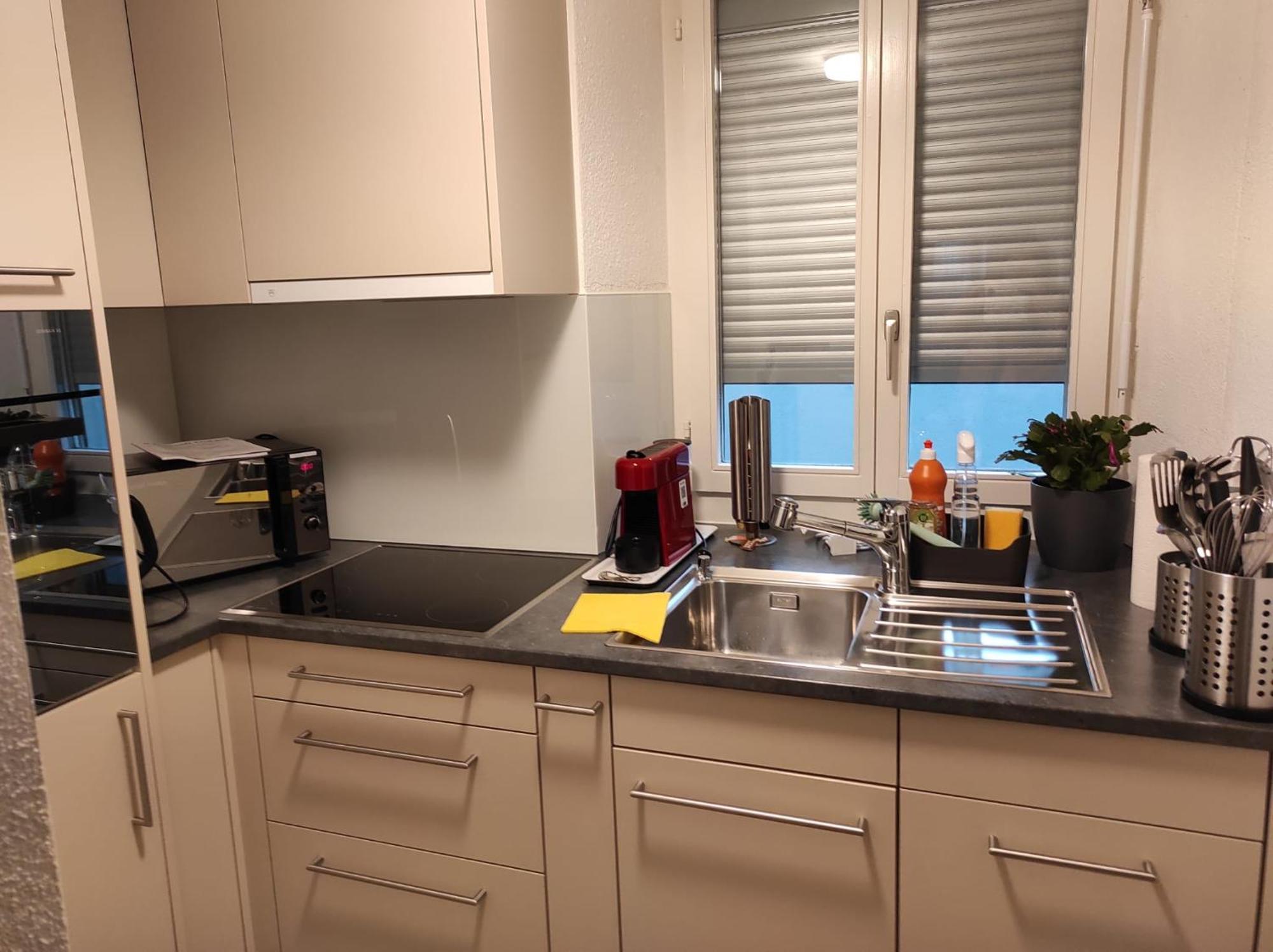 Bastis Family Apartment Lucerne Exterior foto